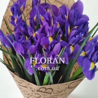 25 ірисів - Фото 1