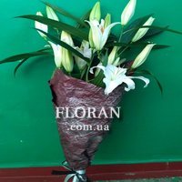 3 лілії - Фото 5