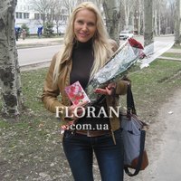 5 red roses - Photo 8