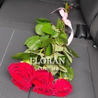 5 red roses - Photo 10