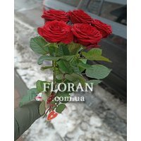 5 red roses - Photo 11