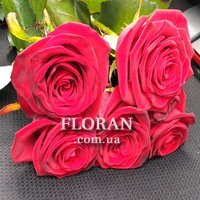 5 red roses - Photo 4