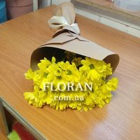 5 chrysanthemums - Photo 1