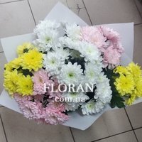 7 chrysanthemums - Photo 1