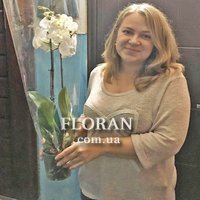 Біла орхідея в горщику - Фото 3