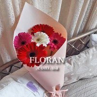 Bouquet of 5 gerberas - Photo 2