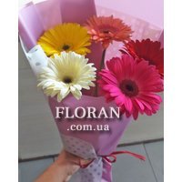 Bouquet of 5 gerberas - Photo 1