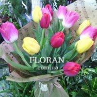 Bouquet of flowers tulips - Photo 3