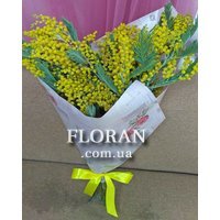 Букет мімоз - Фото 1