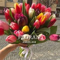 Букет тюльпанів - Фото 1