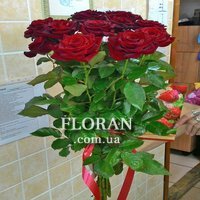 Rose bouquet with ribbon - Photo 14