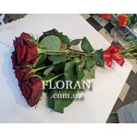 Rose bouquet with ribbon - Photo 3