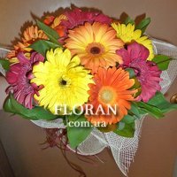 Bouquet of 11 gerberas - Photo 2