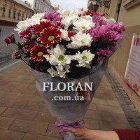 Букет з 11 хризантем - Фото 1