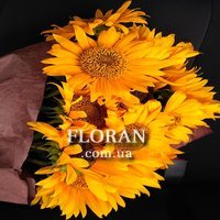 Соняшники в упаковці - Фото 2