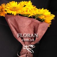 Соняшники в упаковці - Фото 1