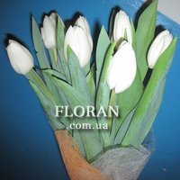 11 тюльпанів - Фото 1