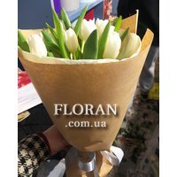 11 тюльпанів - Фото 2