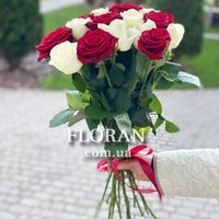 15 бело красных роз - Фото 1