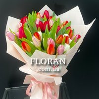 51 тюльпан - Фото 1