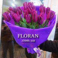 Bouquet of purple tulips - Photo 1