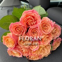 Bouquet of two-color roses - Photo 1