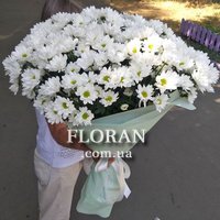 Букет ромашок для коханої дівчини - Фото 1