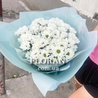 Букет ромашек - Фото 1