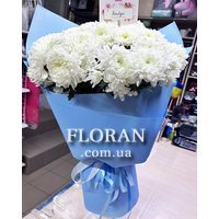 Bouquet of white spray chrysanthemums - Photo 1