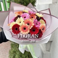 Гербери на Ювілей - Фото 1