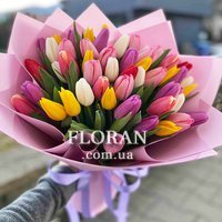 Bright bouquet of tulips - Photo 1