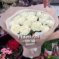 Красиві білі троянди - Фото 1