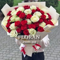 Красивые бело красные розы - Фото 1