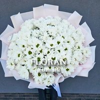 Лучший букет из ромашек - Фото 1