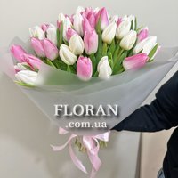 Ніжний букет із тюльпанів - Фото 1