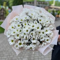 Ромашковидные цветы - Фото 1