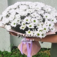 Ромашки для мами - Фото 1