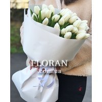 Тюльпан 35 - Фото 1