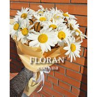 25 ромашок - Фото 2