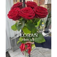 5 red roses - Photo 14