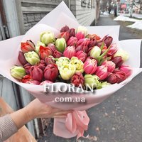 51 тюльпан мікс - Фото 1