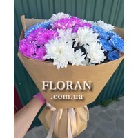 7 chrysanthemums - Photo 6