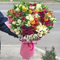 Альстромерія мікс - Фото 1