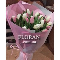 White and pink tulips - Photo 2