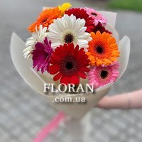 Букет гербер чоловіку - Фото 1