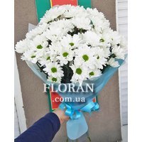 Букет із білих ромашкових хризантем - Фото 1