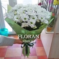 Букет із білих ромашкових хризантем - Фото 7