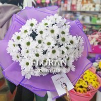 Букет із білих ромашкових хризантем - Фото 9