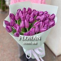 Bouquet of purple tulips - Photo 1