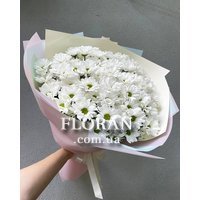 Букет цветов ромашки - Фото 2
